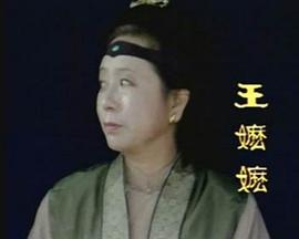 段意平