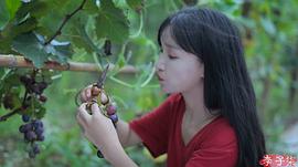 李子柒