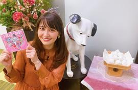 中岛爱