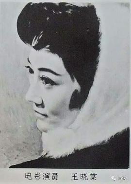 王晓棠