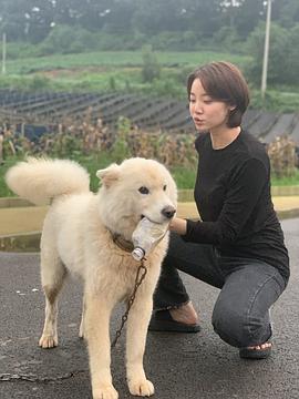 金美秀