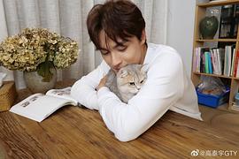 高泰宇