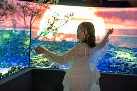 石原夏织