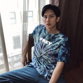 普莱姆·蓬皮塞