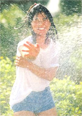 宫崎美子