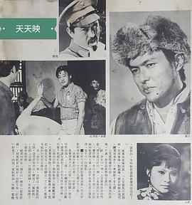 白鹰