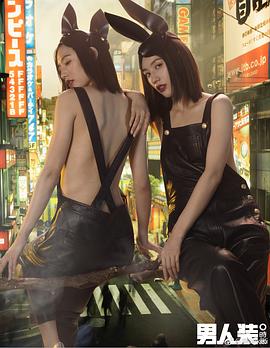 董琦