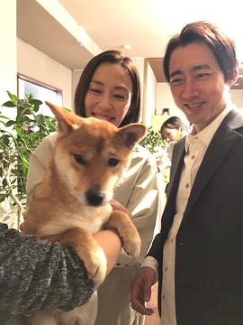 木村佳乃