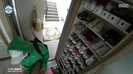 景收真