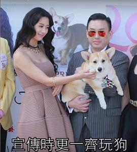 陈志雄