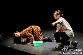 赵晓苏