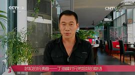 丁海峰