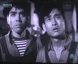 苗灵