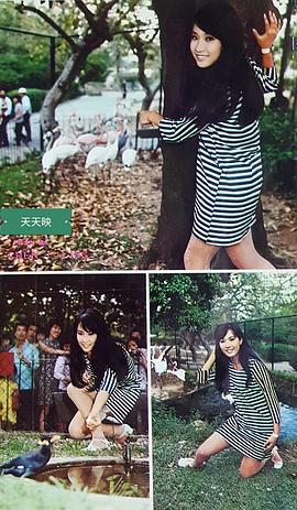 陈依龄