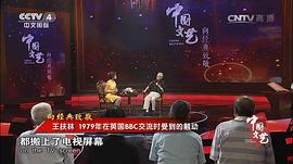 王扶林