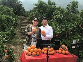 赵艺然