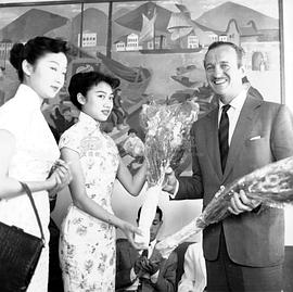 丁宁