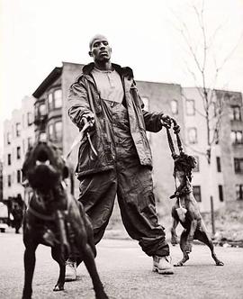 DMX