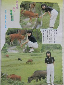 李赛凤