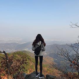 韩智贤