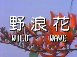 岑梦凡