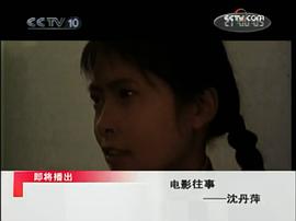 沈丹萍