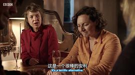 安娜·麦克西维尔·马丁