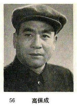 高保成