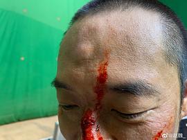 赵魏