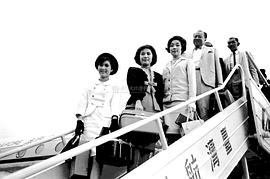 丁红