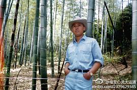 杨凡