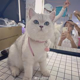 马闻远