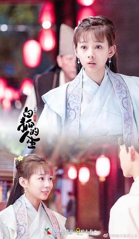 鲁照华