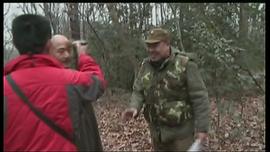 杜军