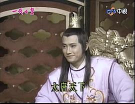 丁华宠