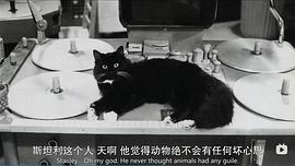 斯坦利·库布里克