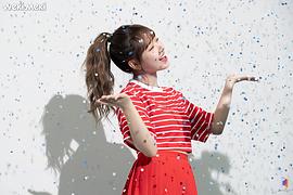 磪有情
