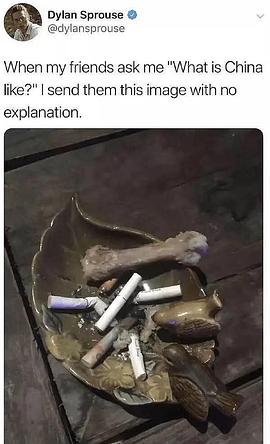 迪伦·斯普罗斯