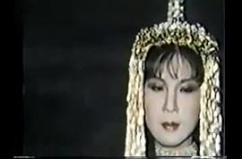 杨钧钧