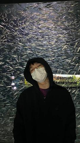 禹元材