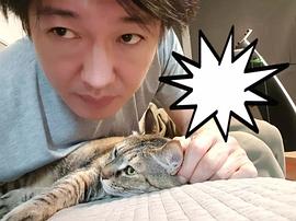 许成泰