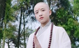 段智文