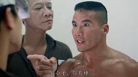 陈志辉