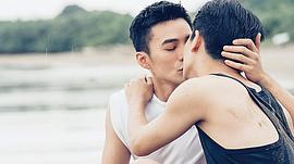 是元介