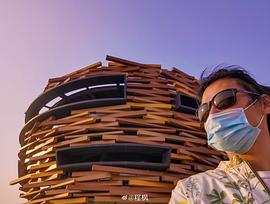 程枫