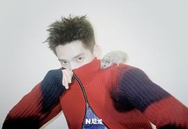 王安宇