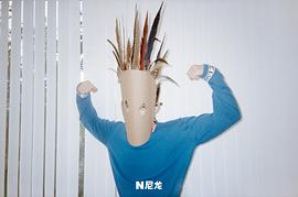 王安宇