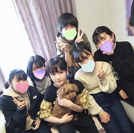 丰岛花