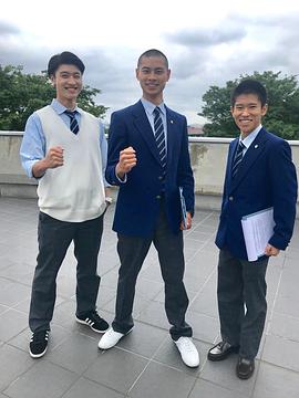 葵扬