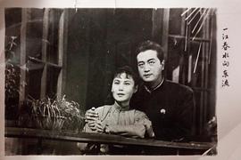 白杨
